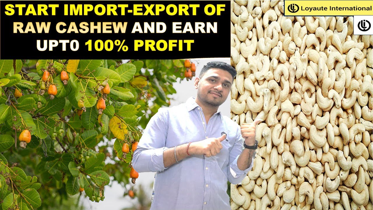 HOW TO START IMPORT EXPORT BUSINESS OF CASHEW IN INDIA| IMPORT RAW CASHEW FROM AFRICA/ VIETNAM/GHANA