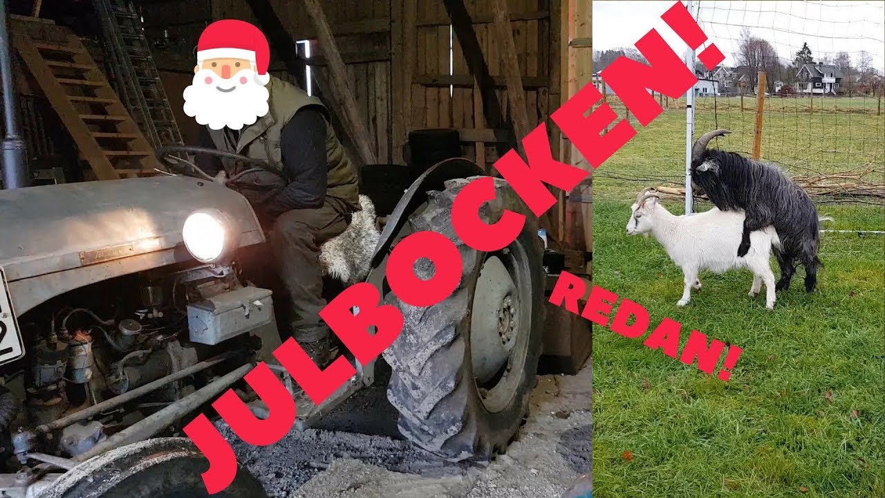 Bocken kom tidigt i år!