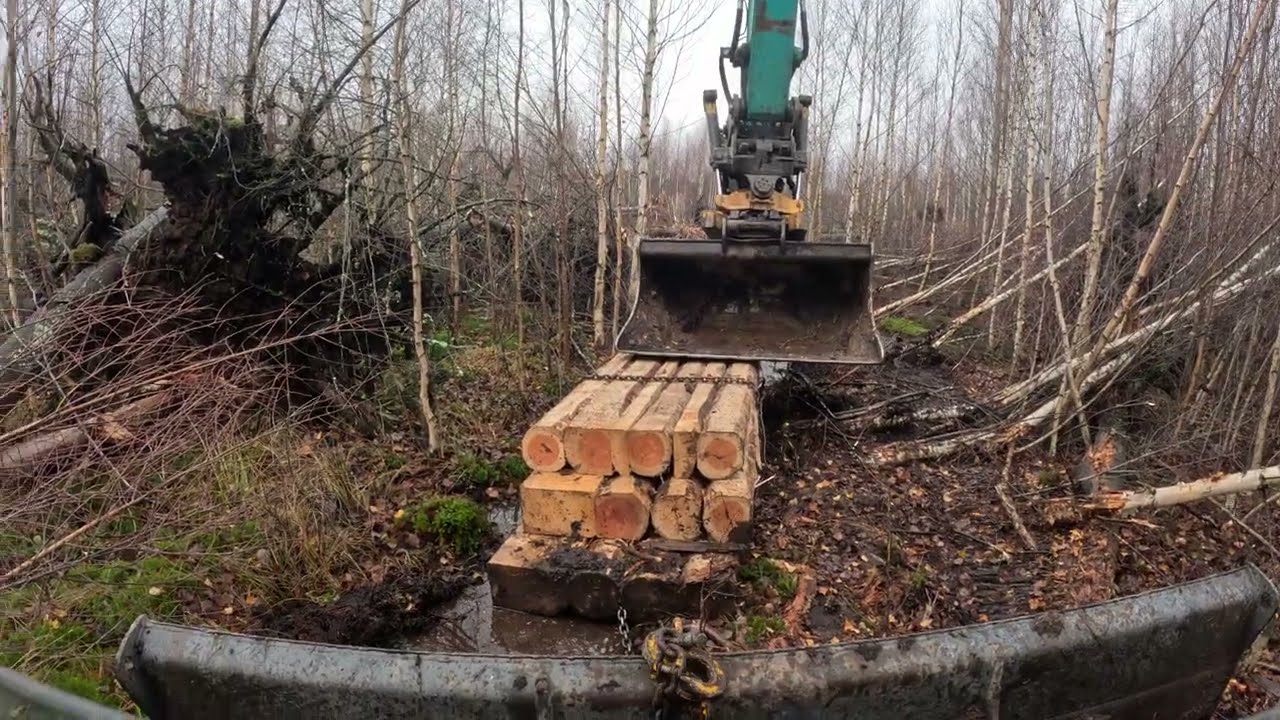Flooding a Forest. Building Dams in a Creek. Operator View Timelapse