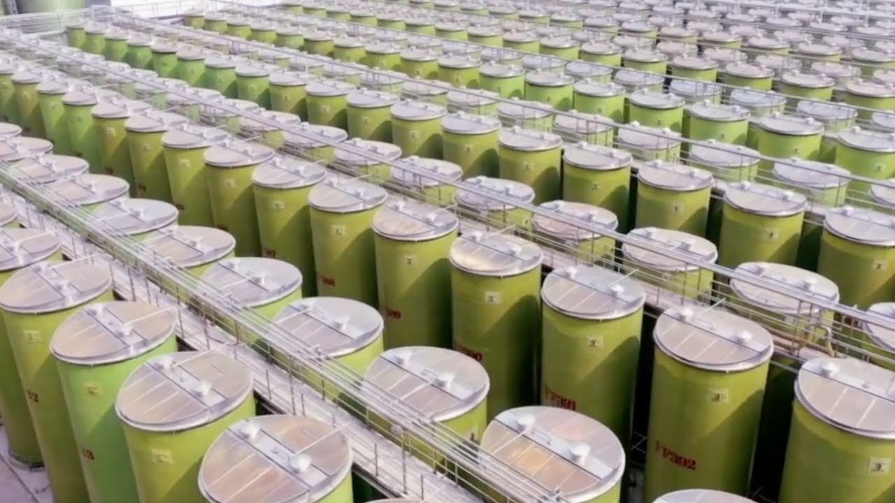 Une usine de sauce soja