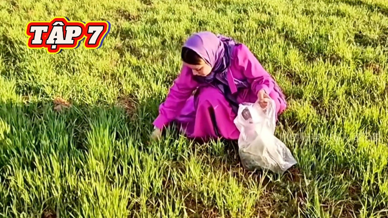 (TẬP 37) Hera Kiên Quyết Đòi Lại Hồi Môn: Ali Quỳ Lạy Xin Tha Vẫn Bị Đuổi Khỏi Nông Trại