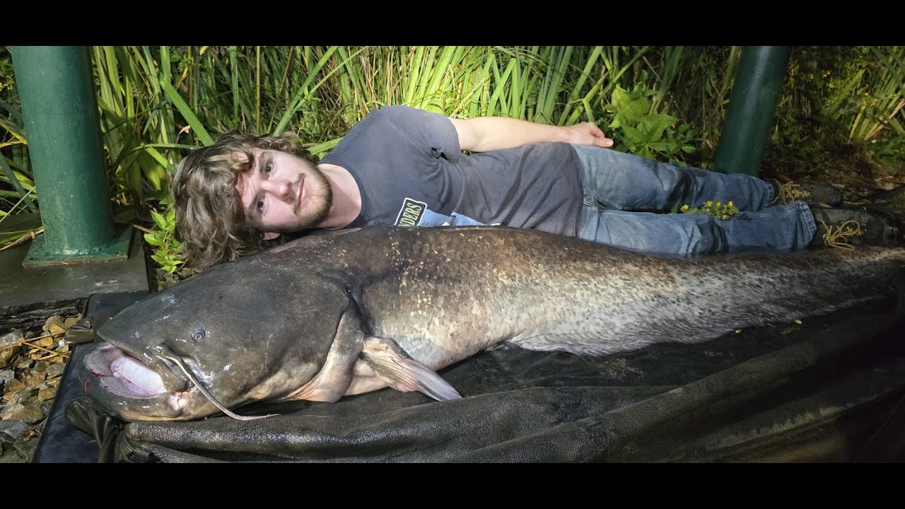 Carp and catfish fishing holiday at Etang Maison Verre France