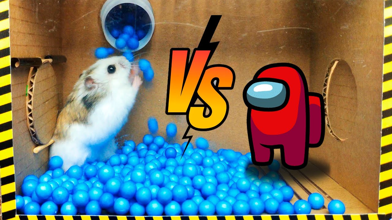 🐹Cute Hamster pets Among Us but with Traps in maze