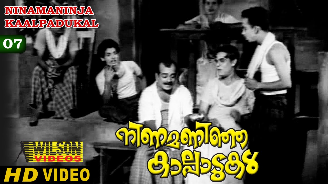 NINAMANINJA KAALPPAADUKAL Clip 7  SP Pillai, Bahadoor, Adoor Bhasi Comedy Scene