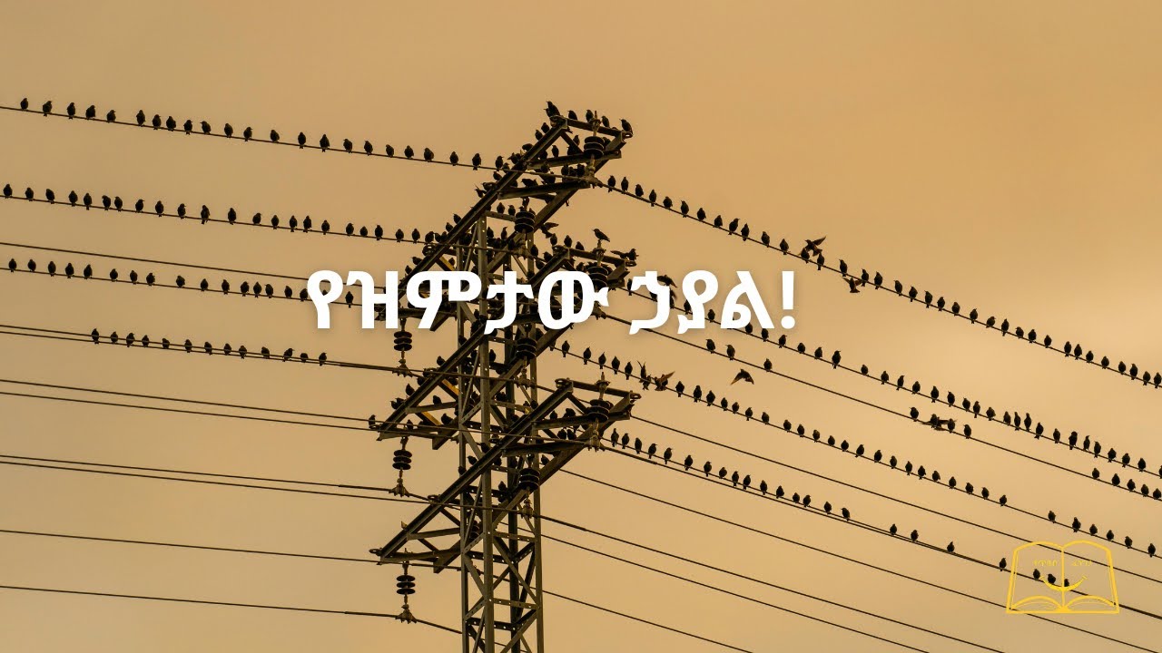 የዝምታው ኃያል! | ከኤሌክትሪክ ገመድ የተማርኩት አስደናቂ ሚስጥር