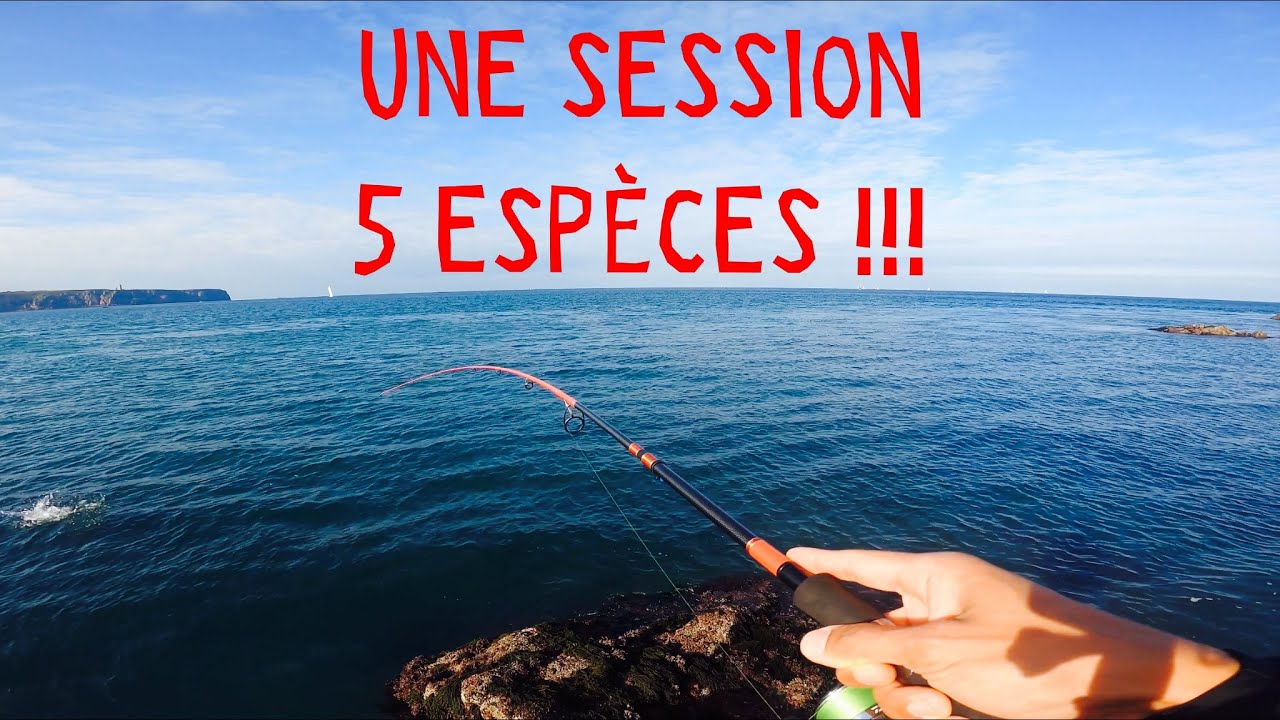 Une SESSION, 5 ESPÈCES !!!