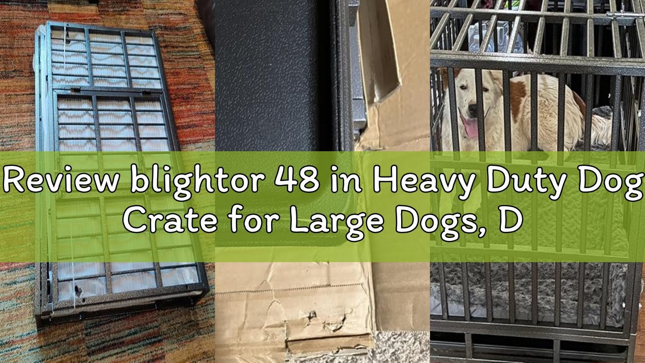Review blightor 48 in Heavy Duty Dog Crate for Large Dogs, Dog Kennel Indoor with Removable Tray and