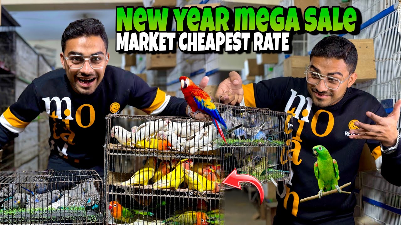 ( SALE SALE MEGA SALE ❤️❤️) 25-DECEMBER-25 😭😭 IS YEAR KI LAST SALE COME AND CELEBRATE NEW YEAR 