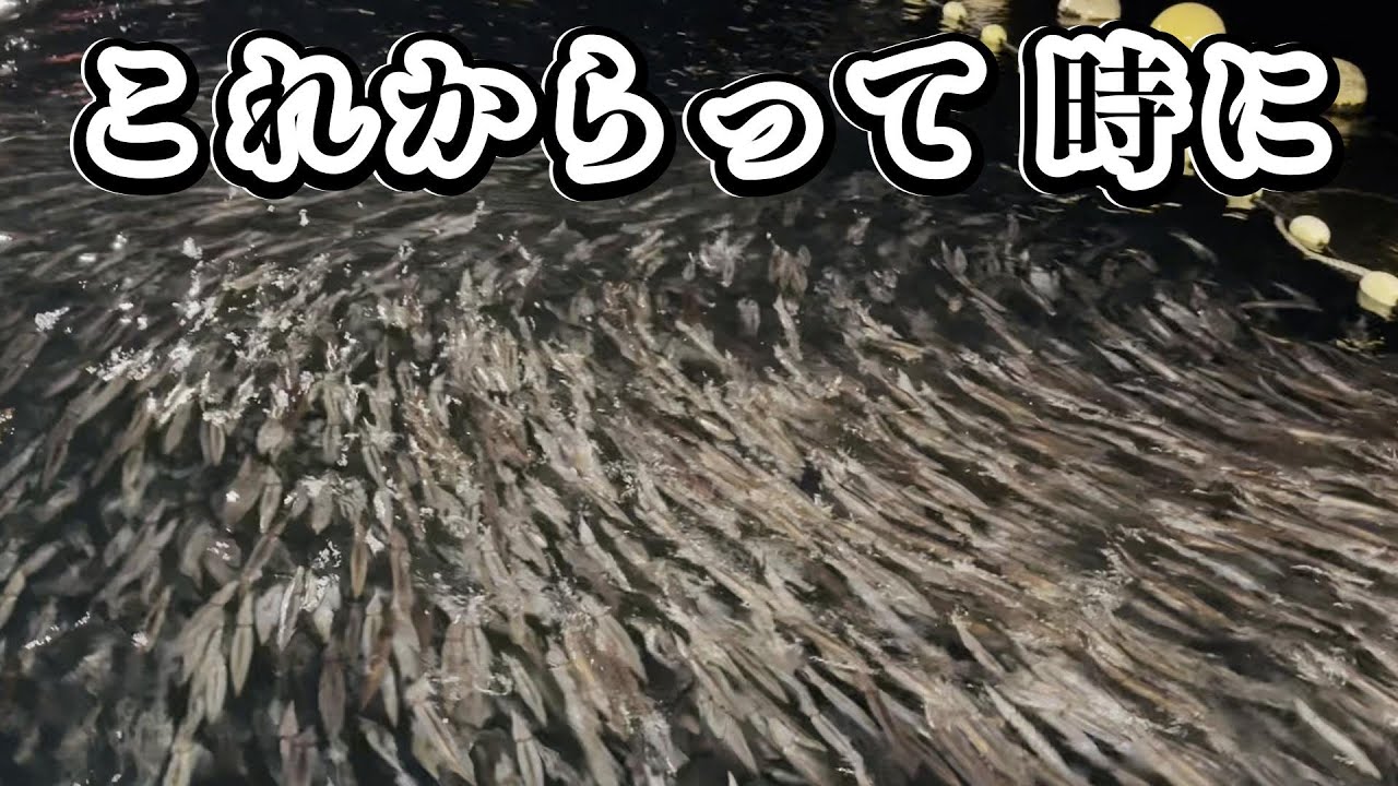 ちょっと話題になった問題に直面した