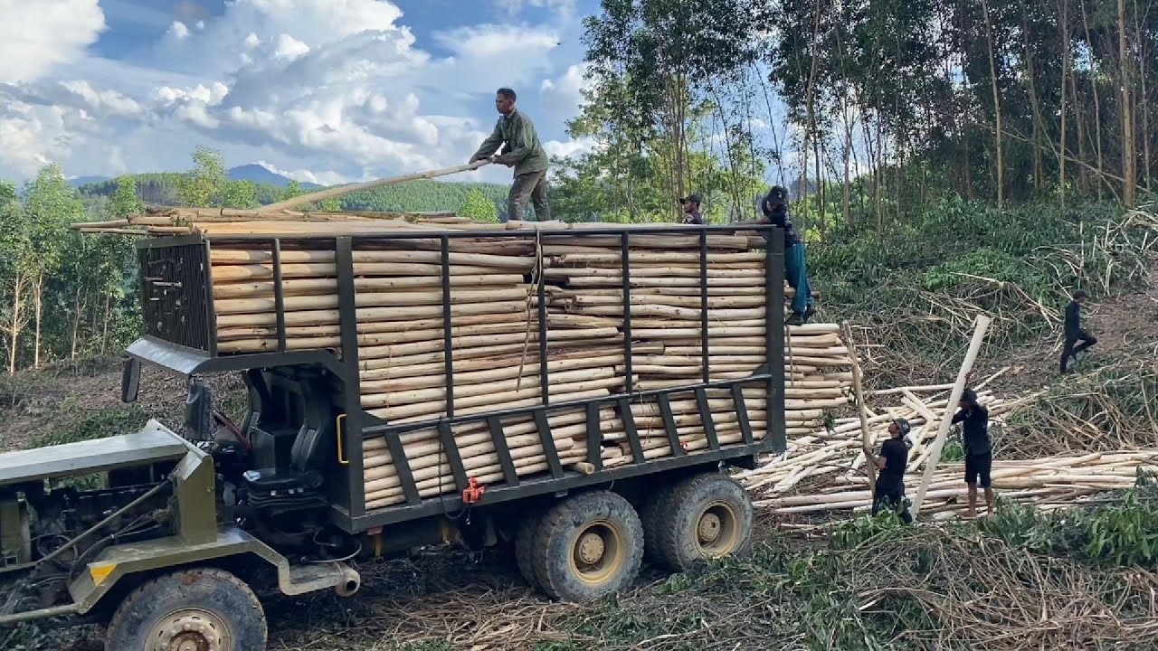 EXTREME Off-Road Truck Hauls HUGE Logs Through Muddy Path in Vietnam