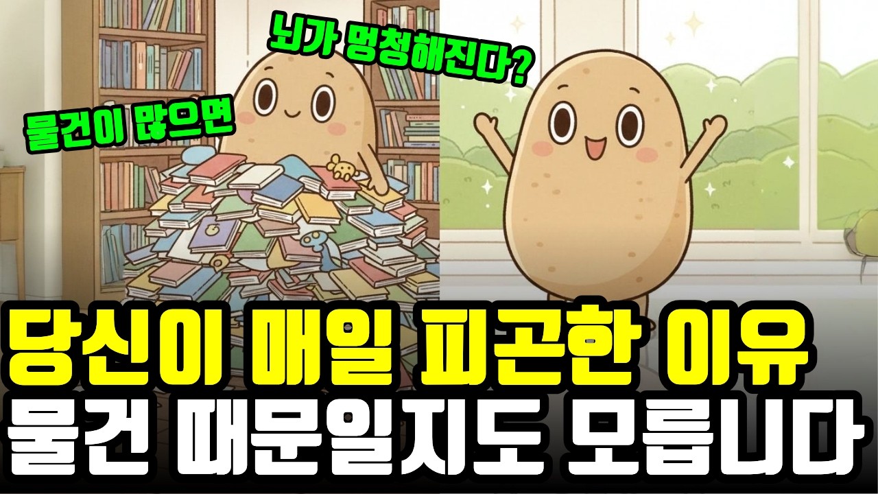 당신이 맨날 피곤하고 우울한 진짜 이유 : 미니멀리즘 / 물건을 버려야 행복해지는 심리학