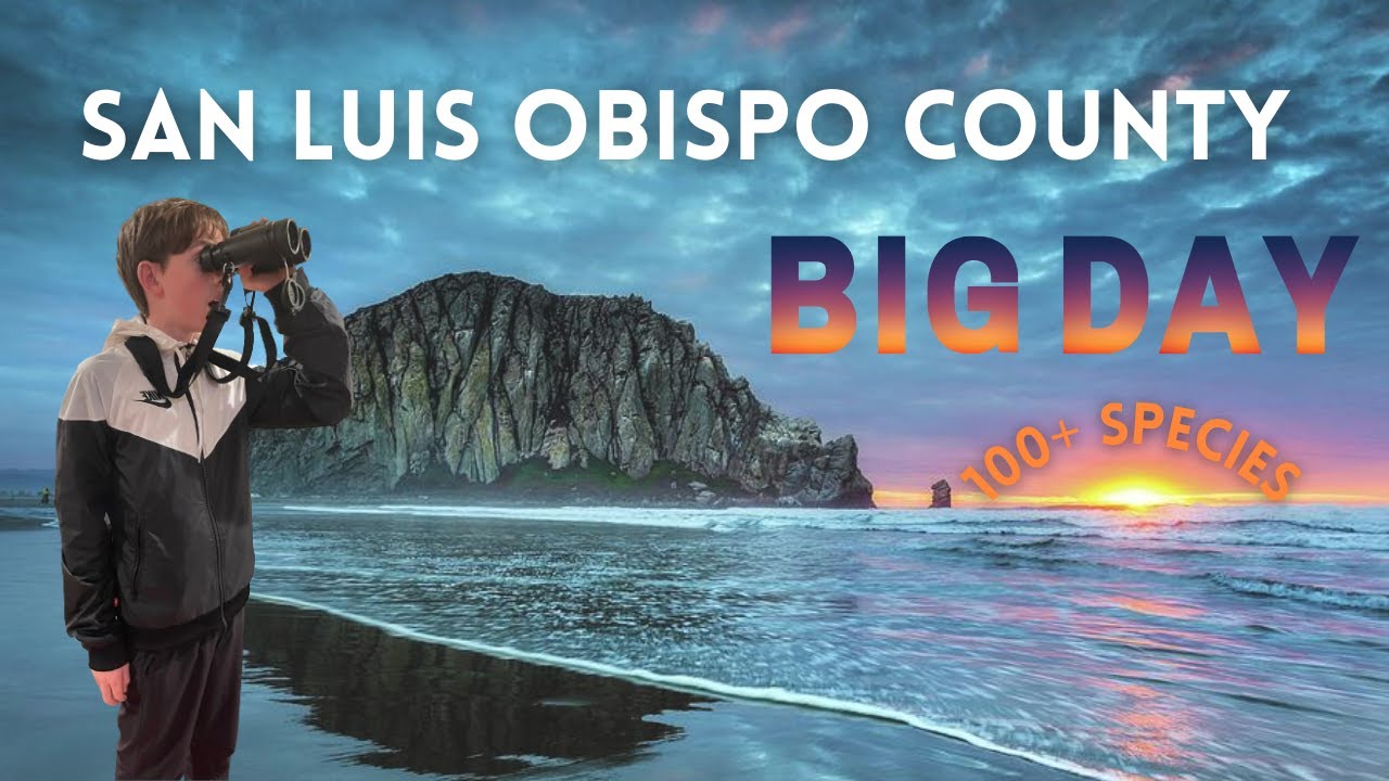 San Luis Obispo County Big Day