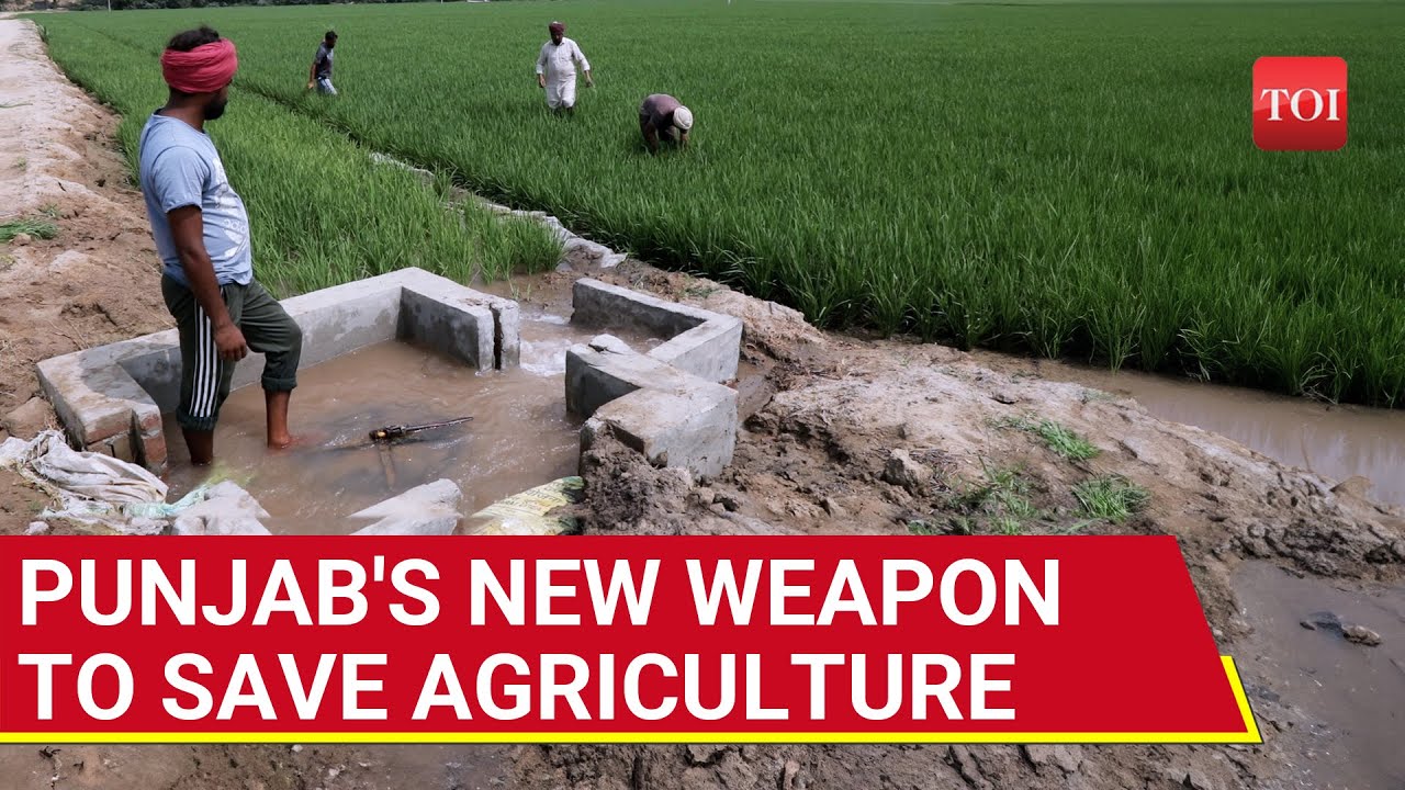 Punjab's Secret Weapon to Save Agriculture: Canal Waters to the Rescue