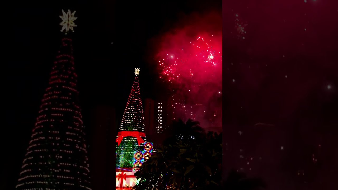 Kembang Api Central Park Christmas Night | Contrast Colour