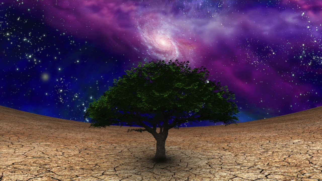 The Tree of Life   C L  Moore