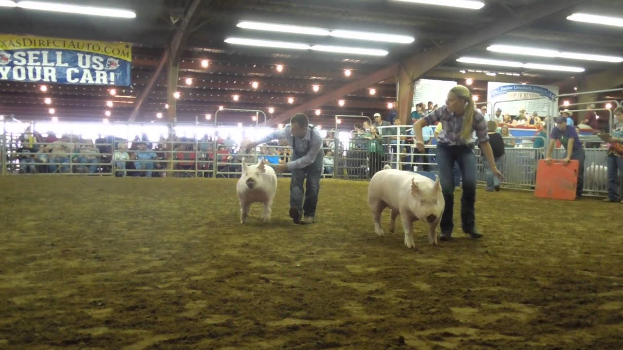 Fort Bend County Fair and Livestock Show 2015
