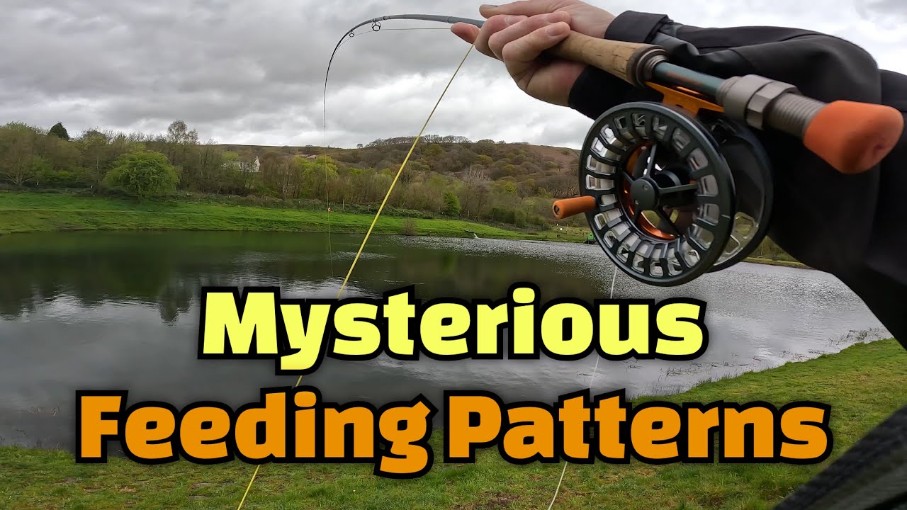 MYSTERIOUS FEEDING PATTERNS. Uk Fly Fishing at Dare Valley Trout Fishery