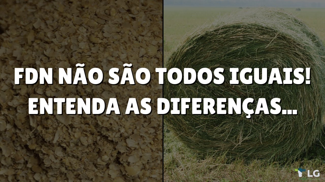 FDN não são todos iguais! Entenda as diferenças...
