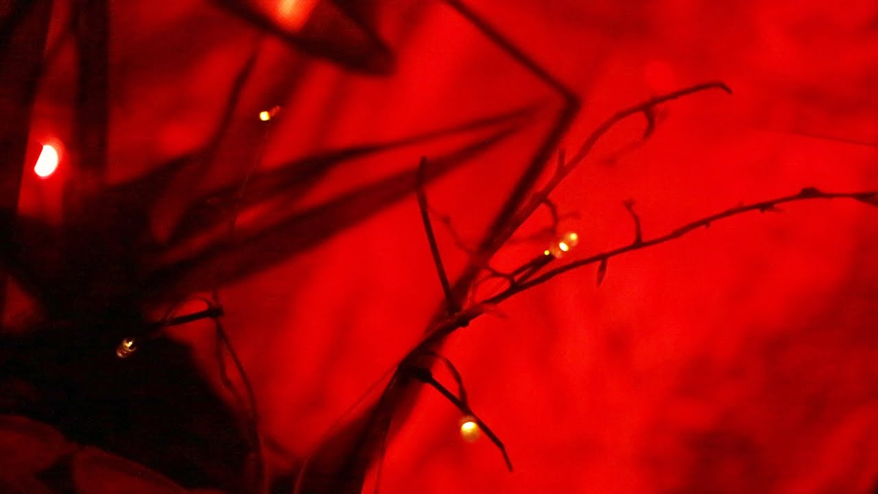 Fireflies in Art? | ART BUILD