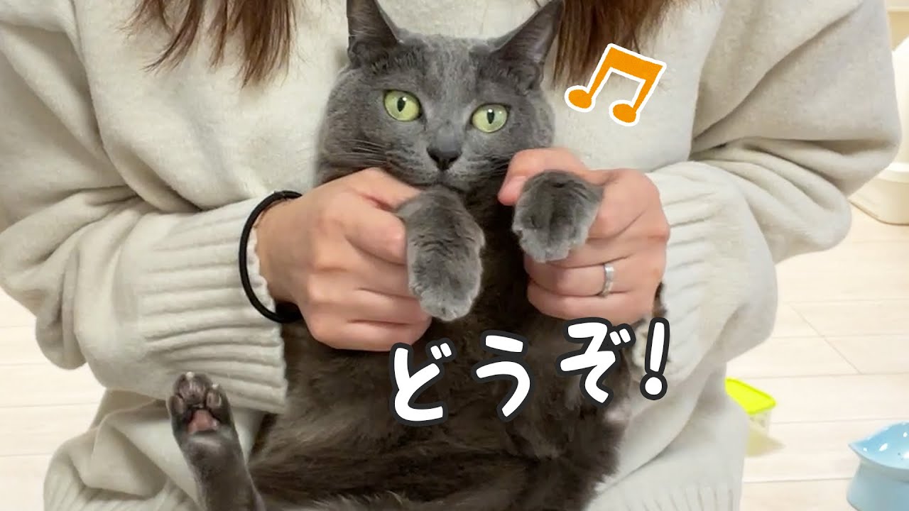 良い子すぎる猫4匹の爪切りはこちらです！