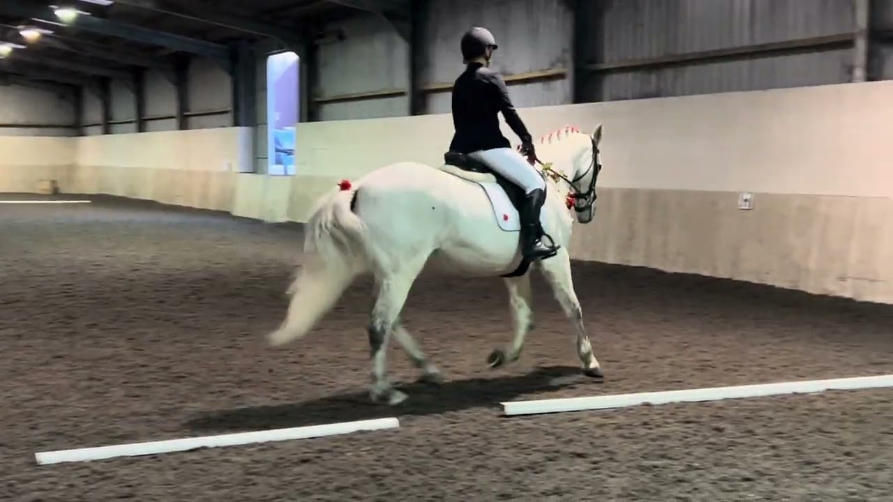 Jo Chambers & Cloud, Prelim 2, Rogate & District Riding Club Valentines dressage 2026