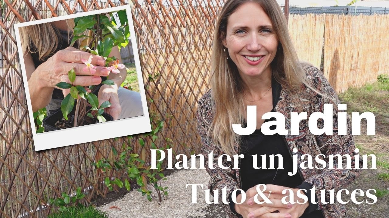🌿 Comment planter et palisser un jasmin ? Tuto jardin & plantes grimpantes 👩🏼‍🌾