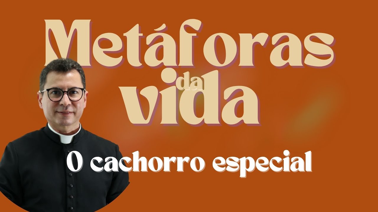 Metáforas da vida | O Cachorro especial