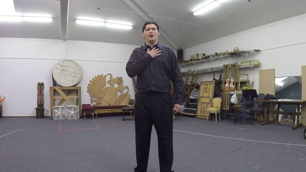 Amarilli, Mia Bella (Jared Werlein 16 yr. old baritone opera singer)