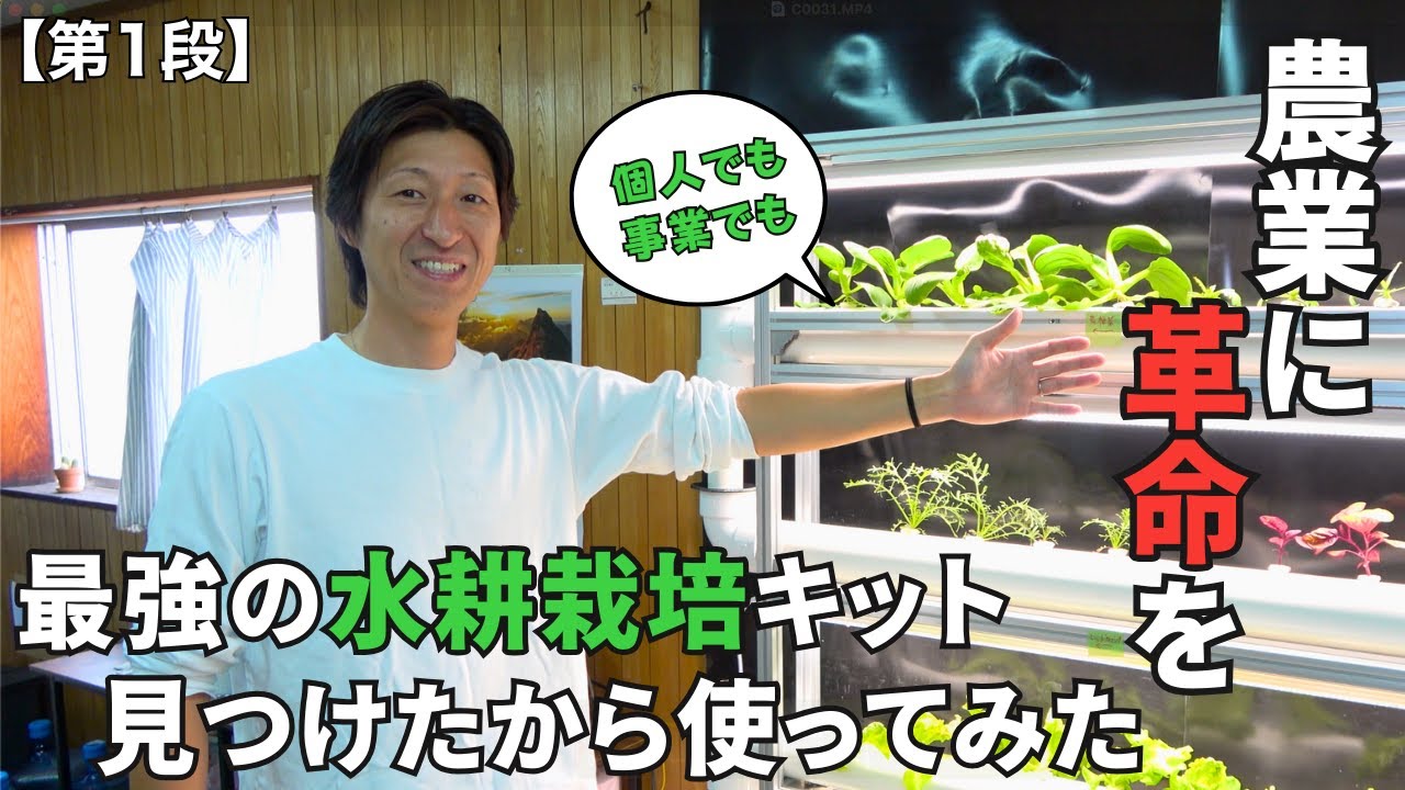 〜第１段〜【水耕栽培】革命的な水耕栽培キットのリアルな使用感をお届けします！#岡山 #水耕栽培 #農業 #家庭菜園 #植物 #栽培