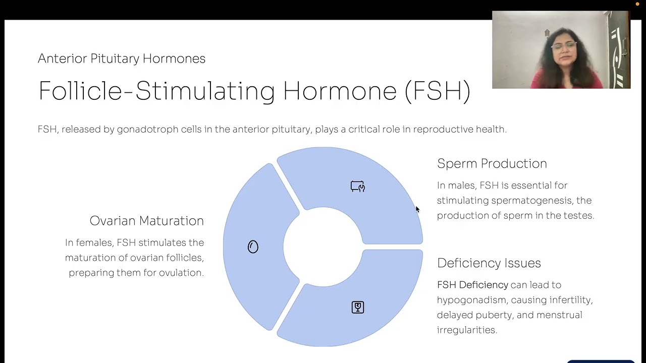 Hormones of Pituitary Gland