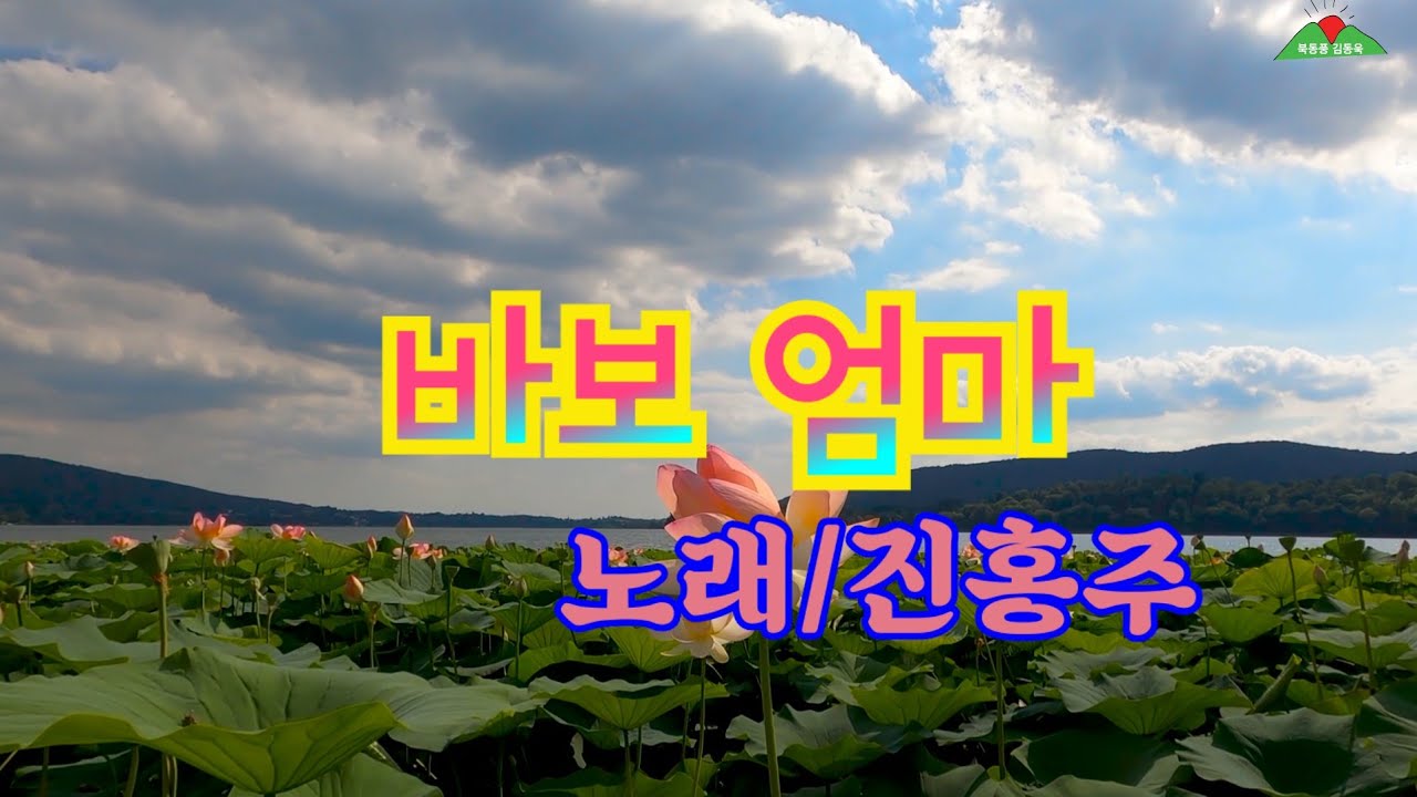 바보 엄마   노래/진홍주  작사/한겨레 작곡/정의송