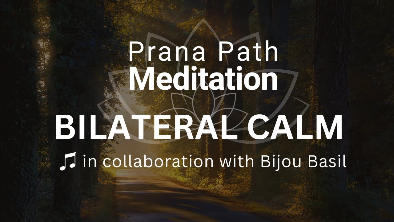 EMDR Meditation for Emotional Balance | Bilateral Stimulation
