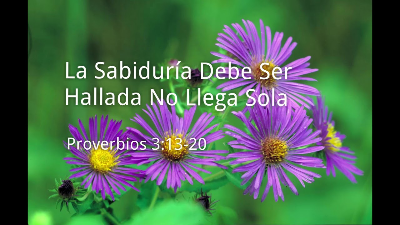 Proverbios 3:13-20 | La Sabiduría Debe Ser Hallada No Llega Sola | UCB