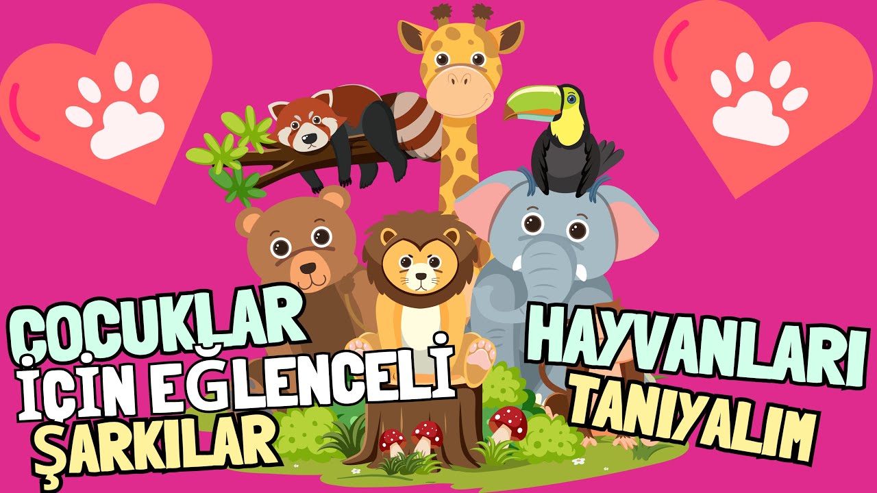 HAYVANLARI TANIYALIM! 🐾 Eğlenceli &Ccedil;ocuk Şarkısı | Eğitici &Ccedil;ocuk Şarkısı | BabyMelodi Music