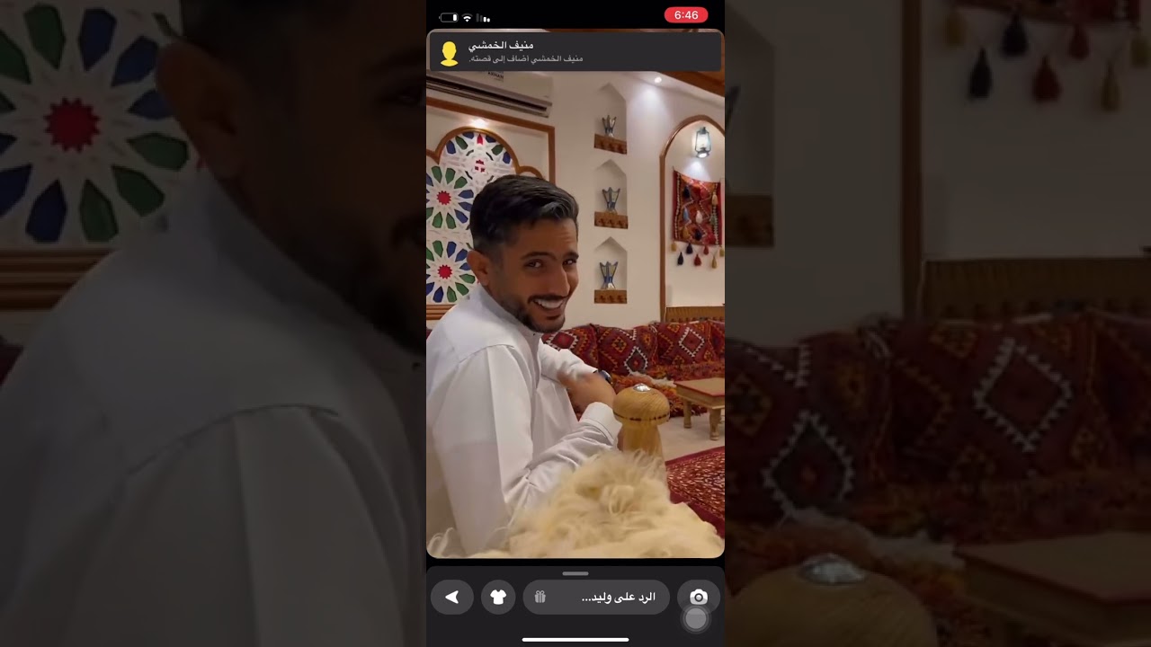 سنابات وليد الشمري ابو فّي و رباح الصديان و منيف الخمشي