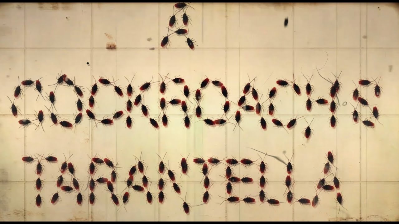 Du Yun's A Cockroach's Tarantella, short film by Julian Crouch