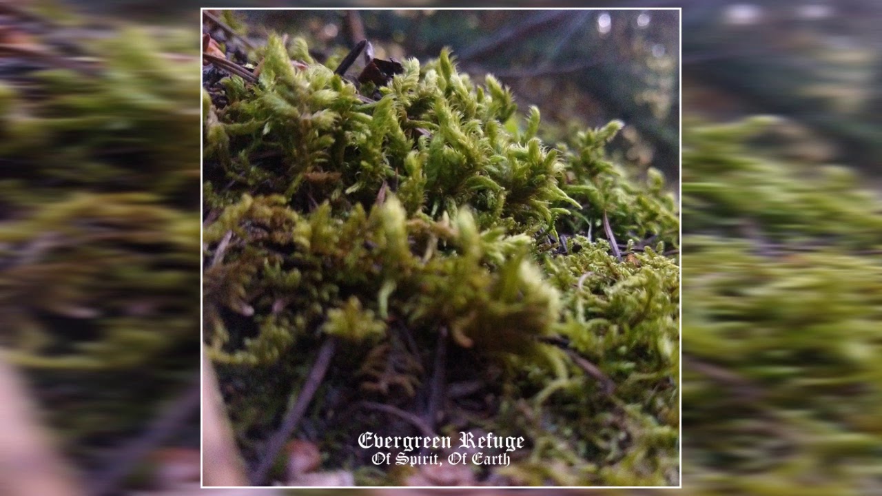 Evergreen Refuge - Of Spirit, Of Earth (2020) (Full Album)