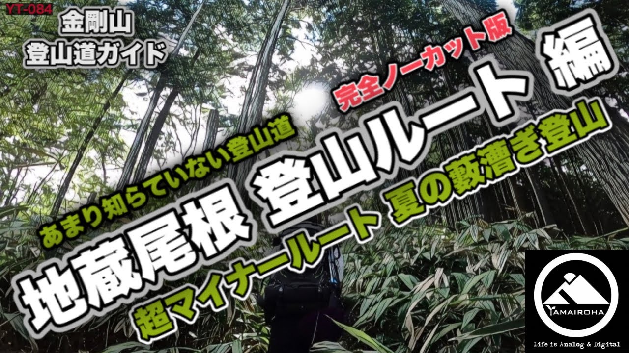 ［地蔵尾根登山ルート］金剛山登山道ガイド↗️ 超マイナールート！夏の藪漕ぎ登山 YT-084