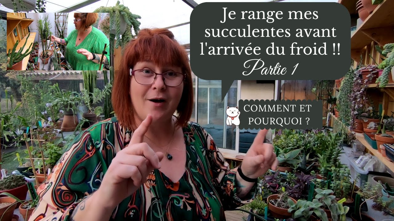 JE RANGE MES SUCCULENTES avant l'arrivée du froid🌱 Partie 1 🌱 Comment et pourquoi ??