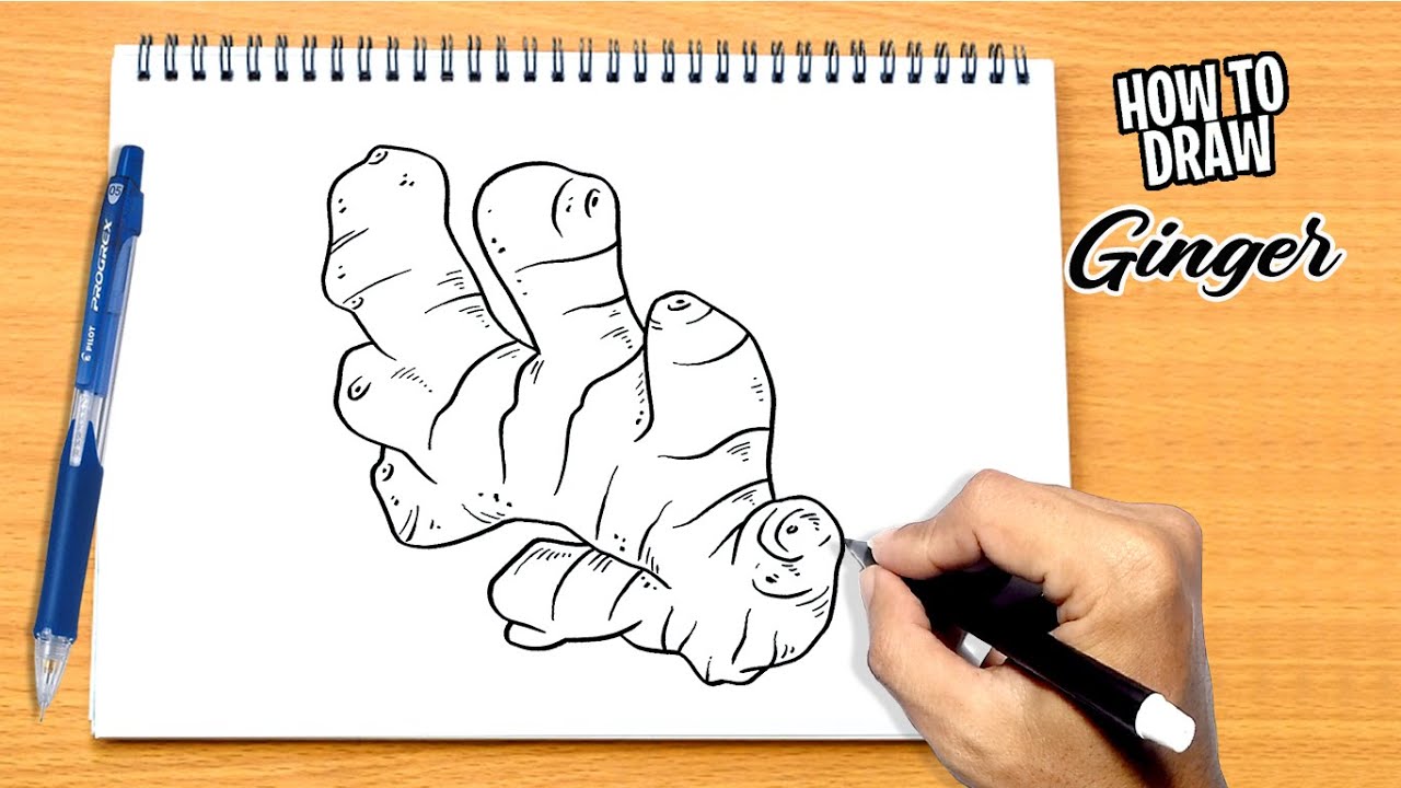 How to draw Ginger