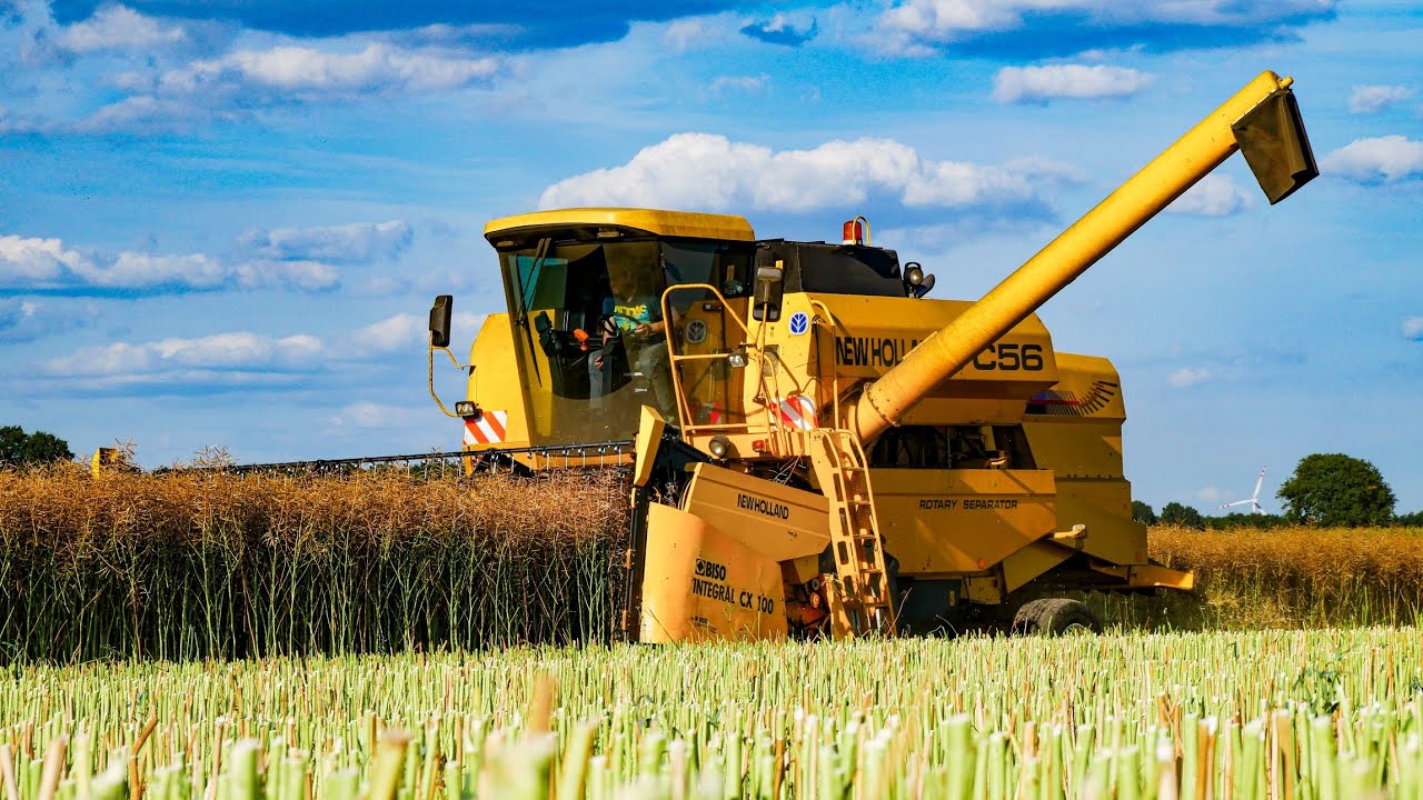 ☆ Żniwa rzepaku z New Hollandem ☆ Deutz Fahr & Pronar ㋡AGRO janeQ㋡