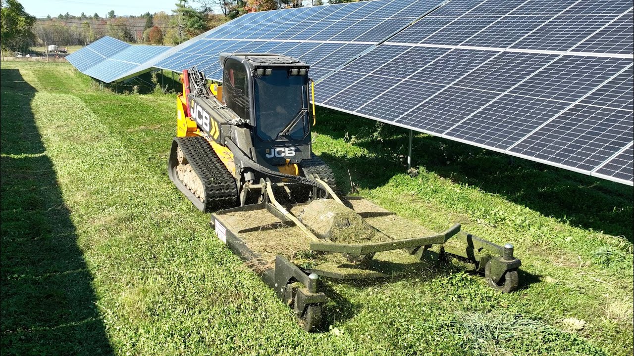 Bush hogging a solar farm with a skid steer
