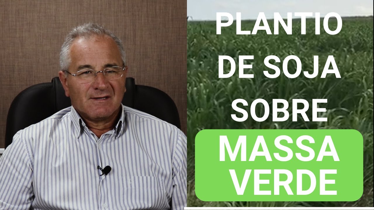 Plantio de Soja Sobre Massa Verde