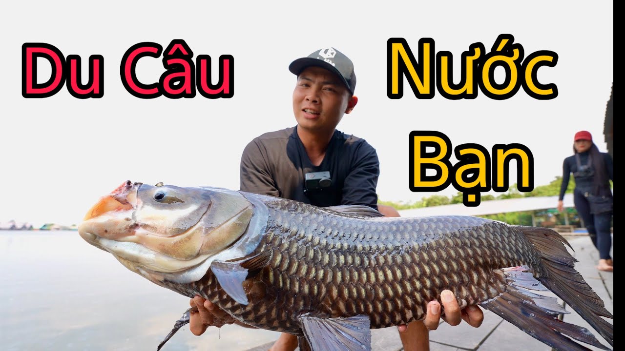Bay Qua Nước Bạn, Học Cách Câu Cá Hô Khổng Lồ