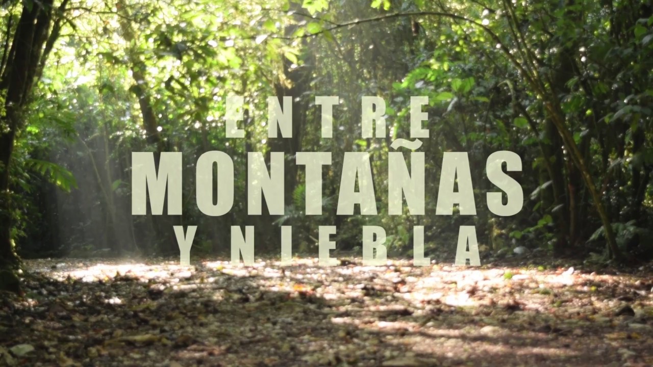 Entre Montañas y Niebla | Cortometraje Documental | Bosque de Niebla