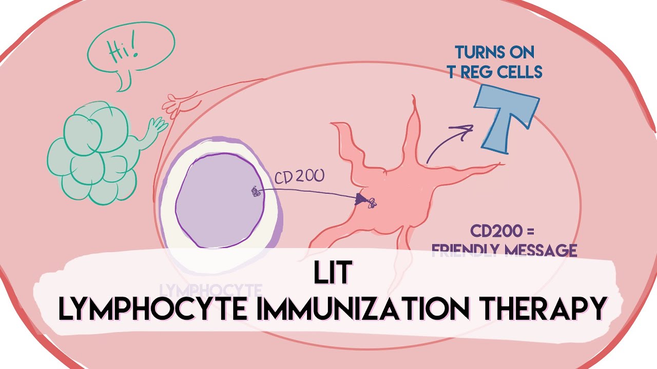 Lymphocyte Immunization Therapy (LIT) for Recurrent Miscarriages