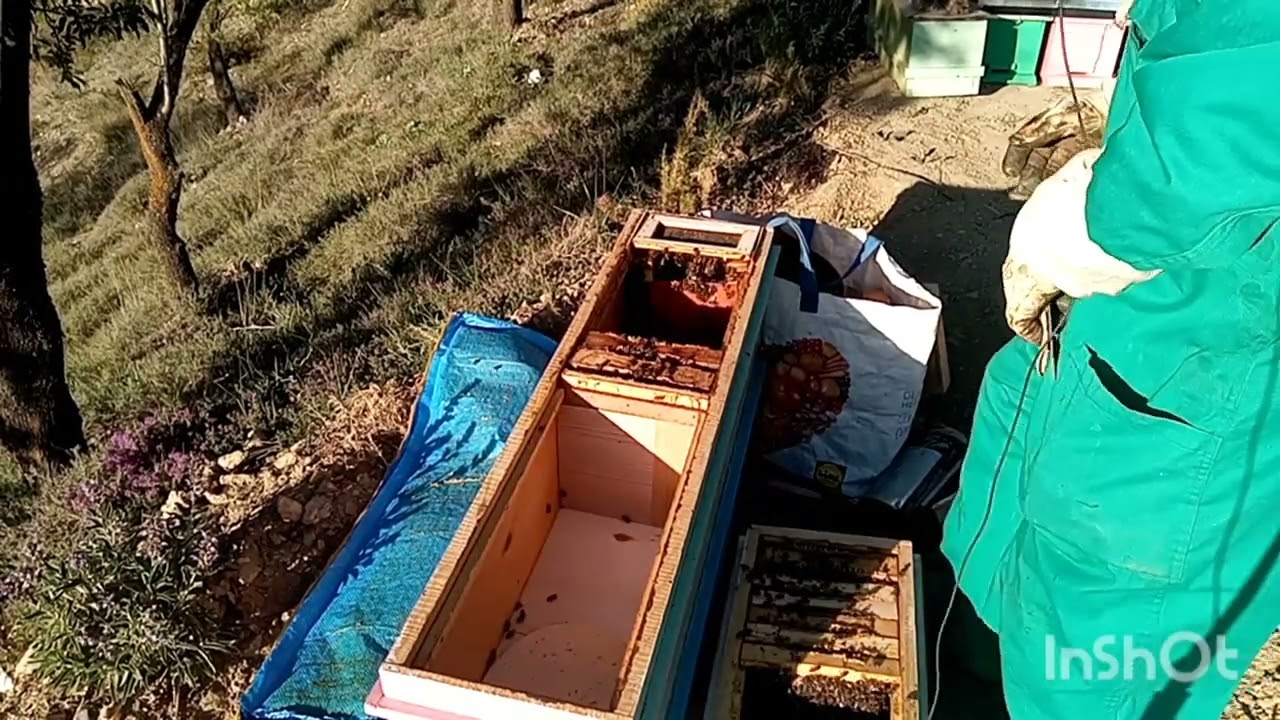 تربية النحل،يوميات،النحال البسيط،(2أ)