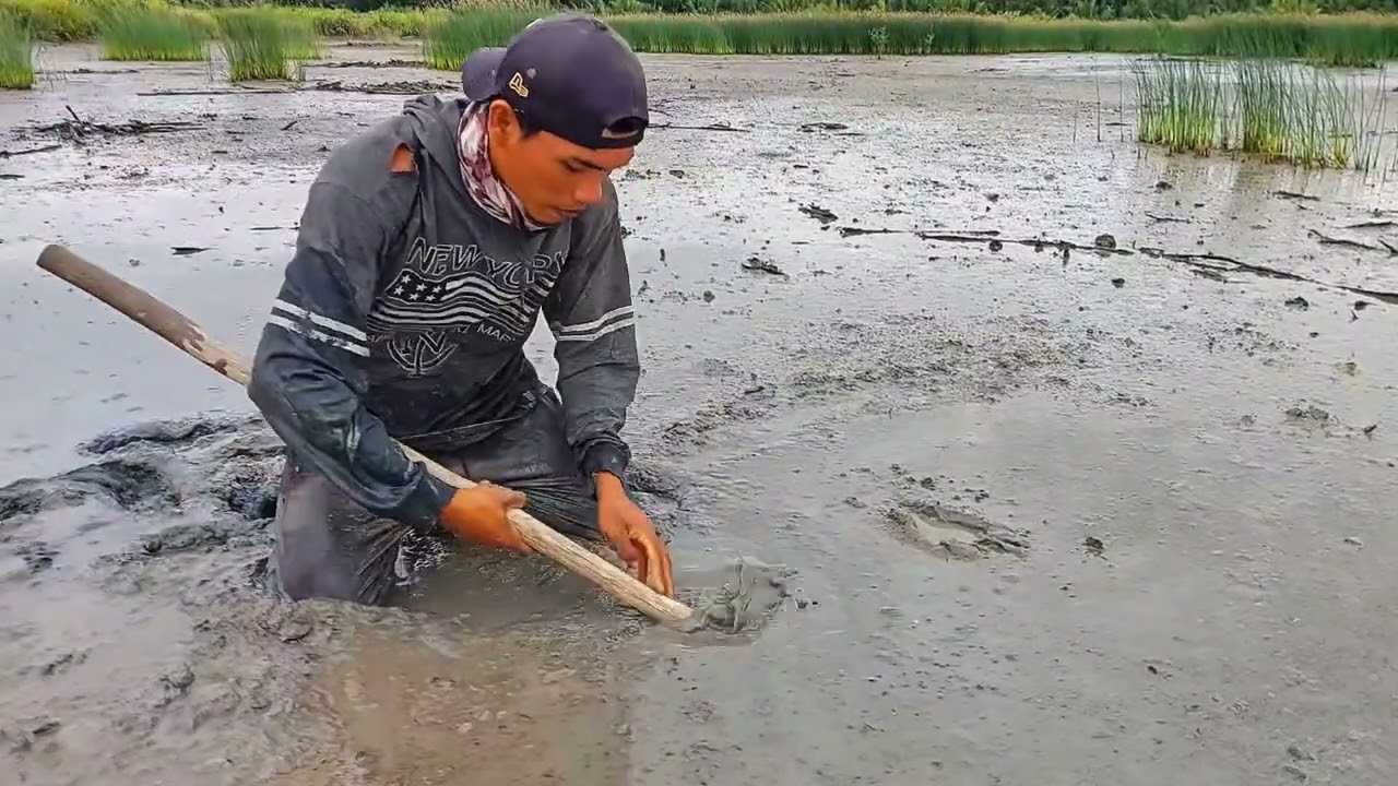 "Part 4 Cari Kepiting" Ikuti terus jejak petualang saya mencari lubang kepiting sampai dapat guys!🦀🦀
