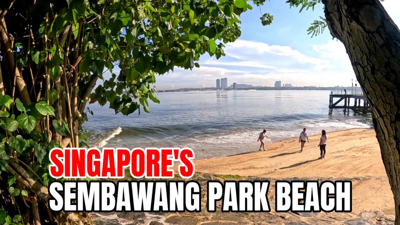 Morning jog/walk to Sembawang Park Beach  Singapore 2025