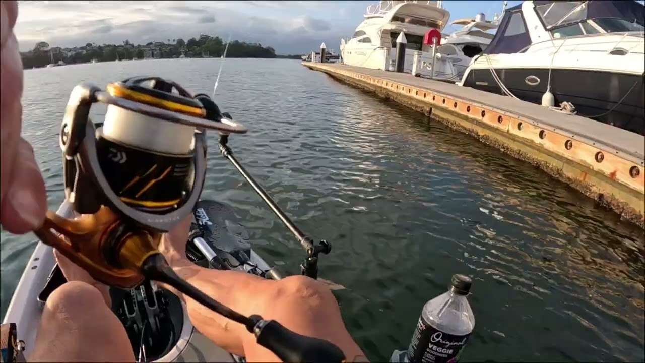 Bream session on  Sydney harbour With a PB on a mystery fish .